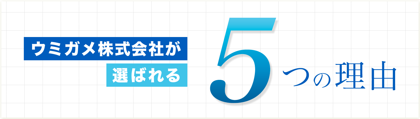 歯科　最新増患対策実践セミナー　ウミガメ株式会社が選ばれる5つの理由